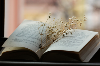 Resumo do livro "O Grito que Morava na Estante" – Tiago Alvim Neto
