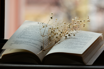 Resumo do livro "O Grito que Morava na Estante" – Tiago Alvim Neto