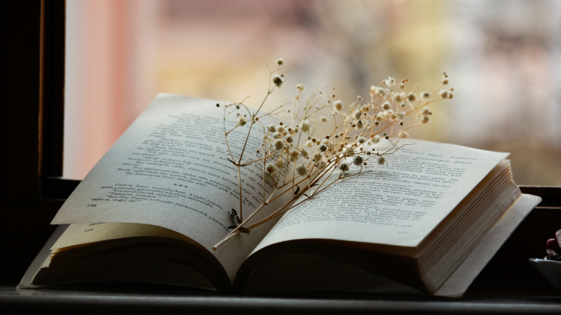 Resumo do livro "O Grito que Morava na Estante" – Tiago Alvim Neto