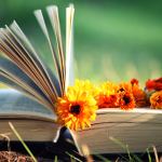 Resumo do livro "O Leitor" – Bernhard Schlink.