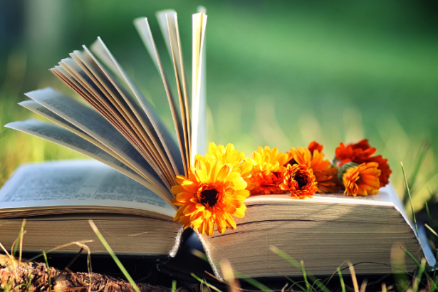 Resumo do livro "O Leitor" – Bernhard Schlink.