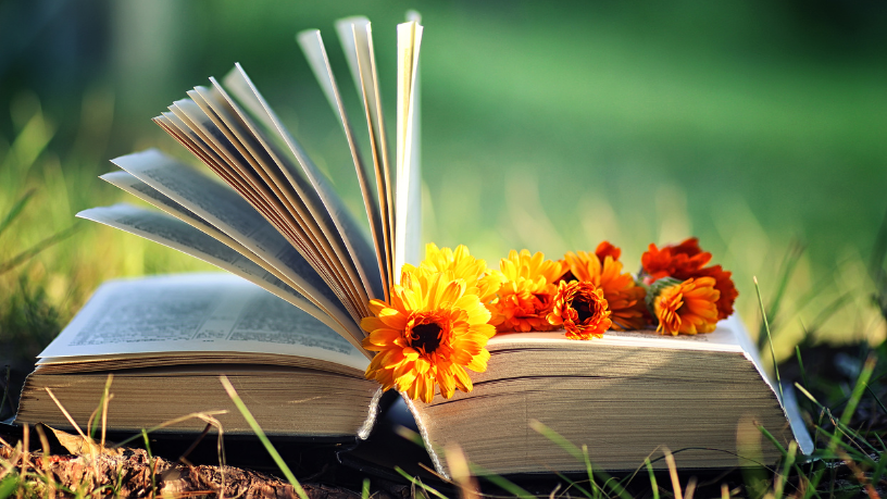 Resumo do livro "O Leitor" – Bernhard Schlink.
