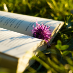 Resumo do livro "O Pescador" – Larry Huntsperger