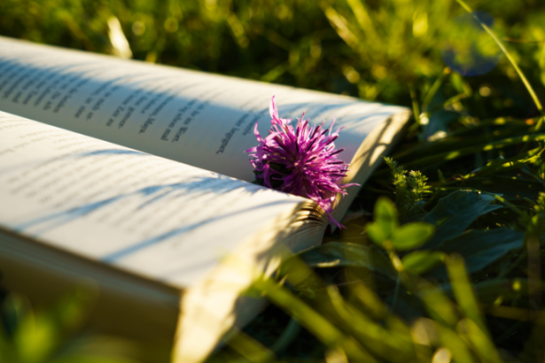 Resumo do livro "O Pescador" – Larry Huntsperger