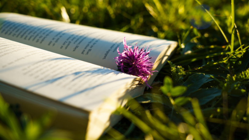 Resumo do livro "O Pescador" – Larry Huntsperger