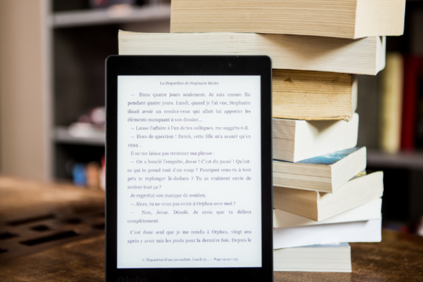 Resumo do livro "O Segredo de Brokeback Mountain" – Annie Proulx