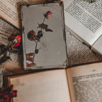 Resumo do livro "O Silêncio Costura as Horas" – Amélia Duarte