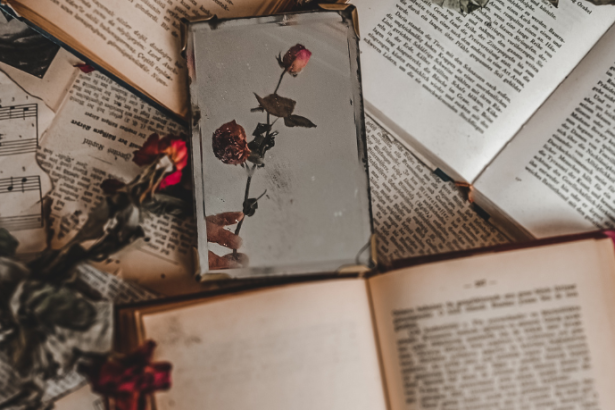 Resumo do livro "O Silêncio Costura as Horas" – Amélia Duarte