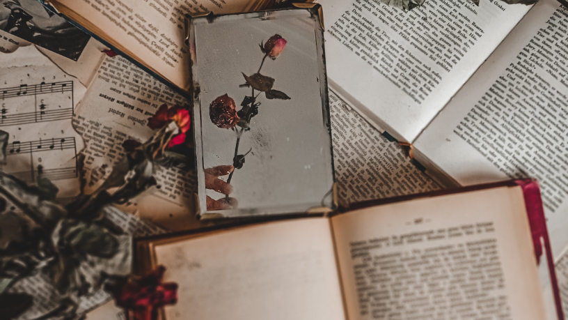 Resumo do livro "O Silêncio Costura as Horas" – Amélia Duarte
