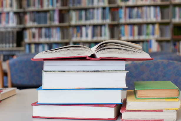 Resumo do livro "Prática da Advocacia Criminal: Técnica e Persuasão" – Maurício Zanoide de Moraes