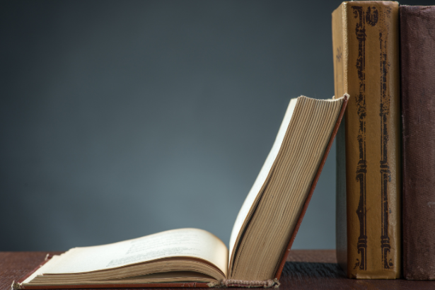 Resumo do livro "Tubarão" – Peter Benchley