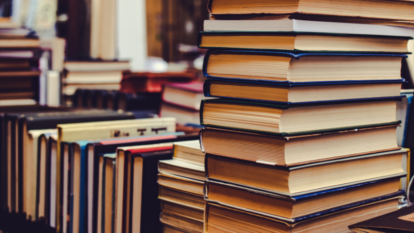 Resumo do livro A Andorinha e os Pássaros – Esopo.