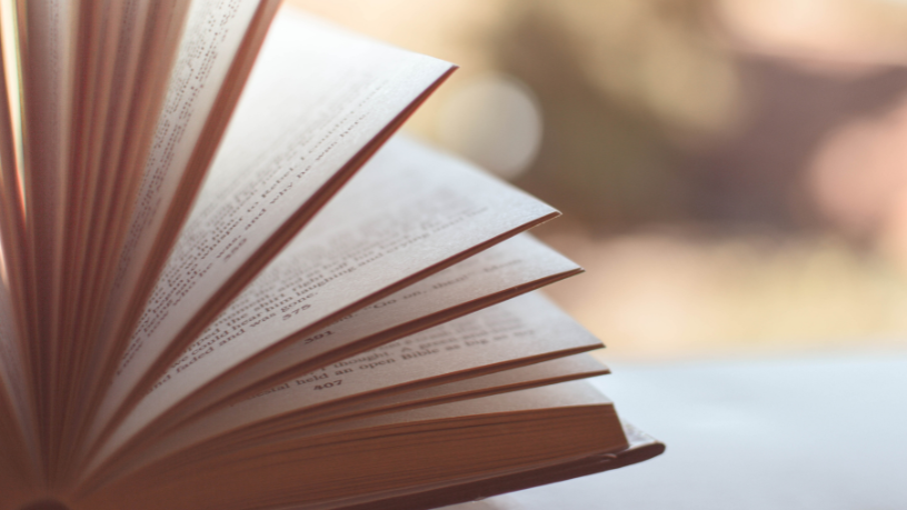Resumo do livro A Coruja e a Águia – Esopo