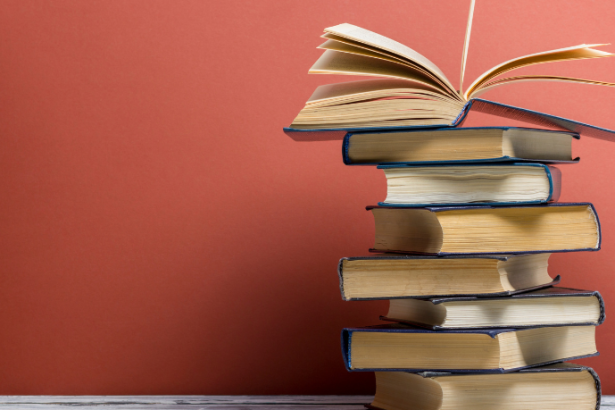 Resumo do livro Antonio – Beatriz Bracher