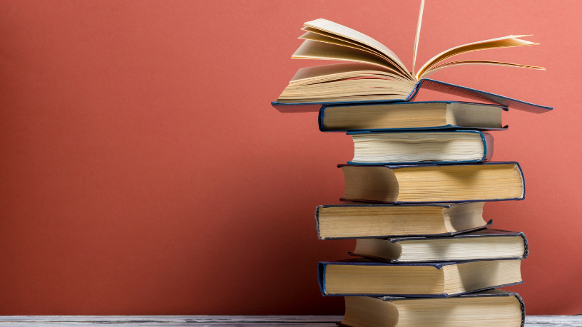 Resumo do livro Antonio – Beatriz Bracher