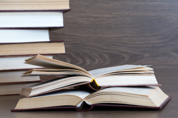 Resumo do livro As Esposas de Jacó – Marek Halter