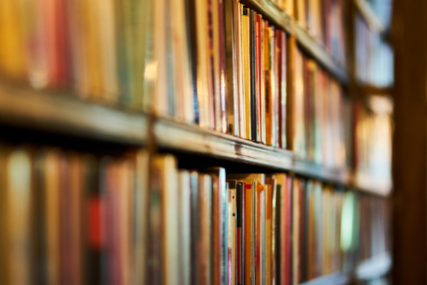 Resumo do livro Cartas para um Planeta Esquecido – Lígia Monteiro