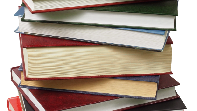 Resumo do livro Chamas de Ouro – Rafael Diniz Moreira