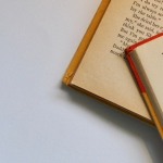 Resumo do livro Entre a Névoa e o Espelho – Catarina Borges Lima