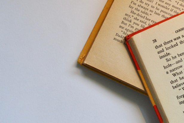 Resumo do livro Entre a Névoa e o Espelho – Catarina Borges Lima