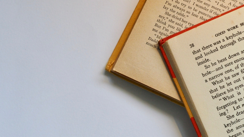 Resumo do livro Entre a Névoa e o Espelho – Catarina Borges Lima