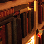 Resumo do livro O Drible – Sérgio Rodrigues