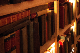 Resumo do livro O Drible – Sérgio Rodrigues