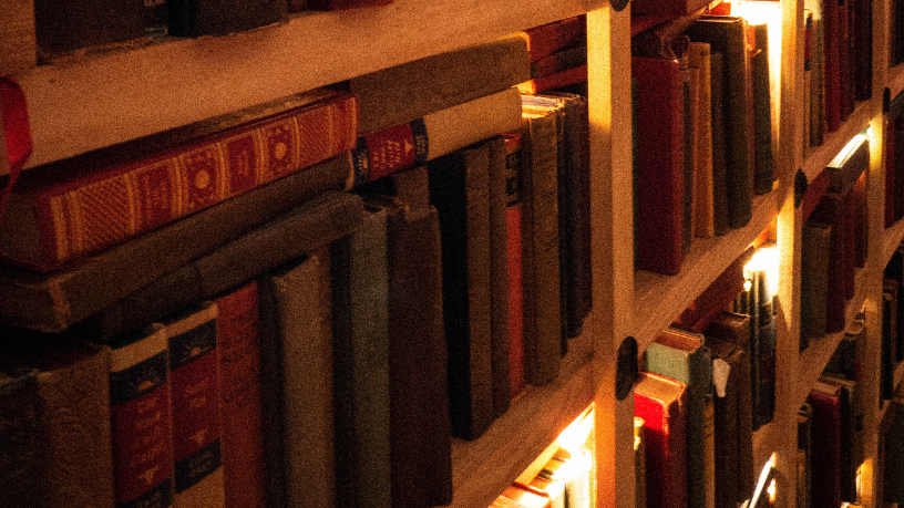 Resumo do livro O Drible – Sérgio Rodrigues