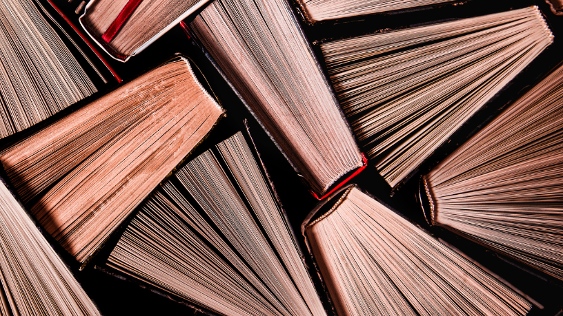Resumo do livro O Processo Civil na Prática Forense – Antônio Carlos Marcato