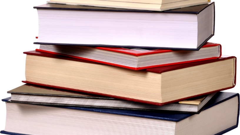 Resumo do livro "O Matador" – Patrícia Melo