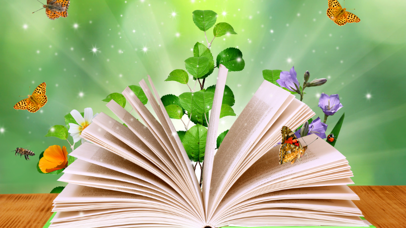 Resumo do livro "A Canção de Redenção" – Francine Rivers