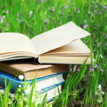 Resumo do livro "A Estrela e o Grilo" – Clarice Nogueira Prado