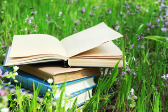 Resumo do livro "A Estrela e o Grilo" – Clarice Nogueira Prado