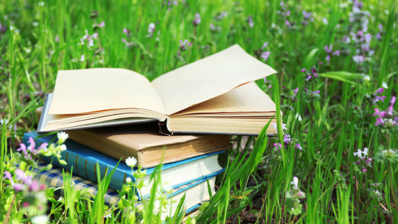 Resumo do livro "A Estrela e o Grilo" – Clarice Nogueira Prado
