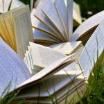 Resumo do livro "A Paixão Segundo G.H." – Clarice Lispector