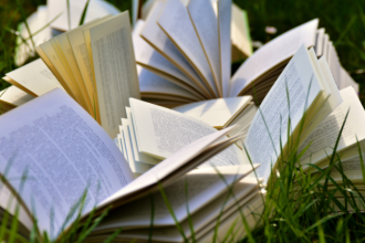 Resumo do livro "A Paixão Segundo G.H." – Clarice Lispector