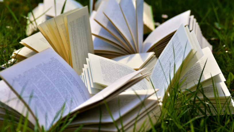 Resumo do livro "A Paixão Segundo G.H." – Clarice Lispector