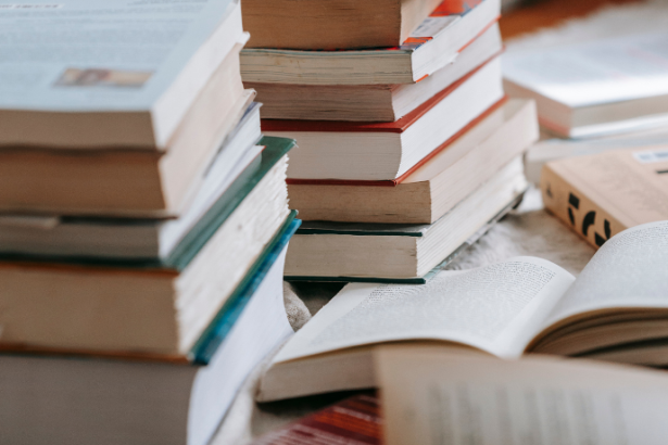 Resumo do livro "Advocacia Criminal: Fundamentos e Técnicas" – Luiz Flávio Gomes