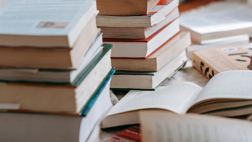 Resumo do livro "Advocacia Criminal: Fundamentos e Técnicas" – Luiz Flávio Gomes