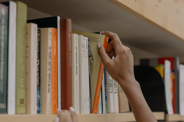 Resumo do livro "As Cores do Silêncio Esquecido" – Marta Eliane Rocha