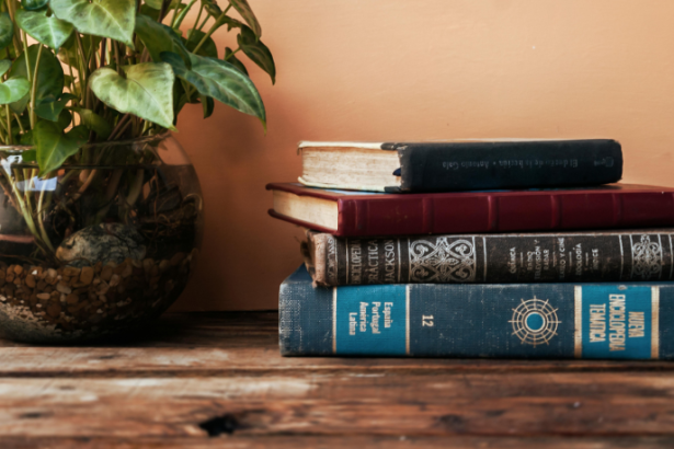 Resumo do livro "Garota, Interrompida" – Susanna Kaysen