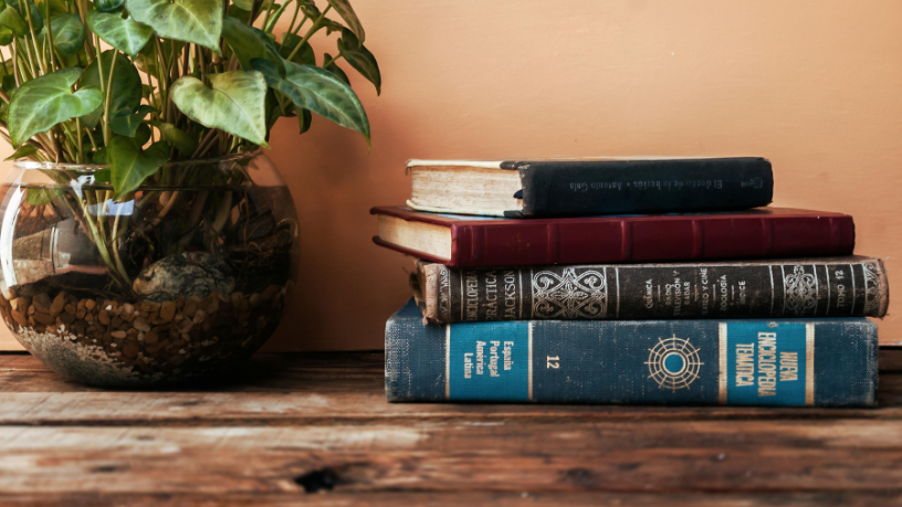 Resumo do livro "Garota, Interrompida" – Susanna Kaysen