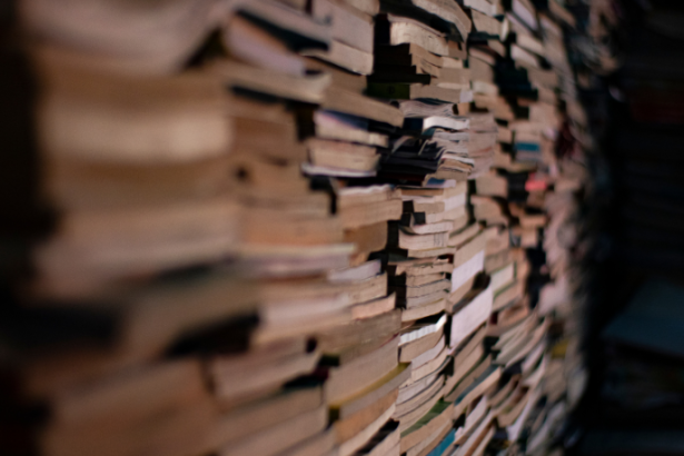 Resumo do livro "O Velho, o Menino e o Burro" – La Fontaine