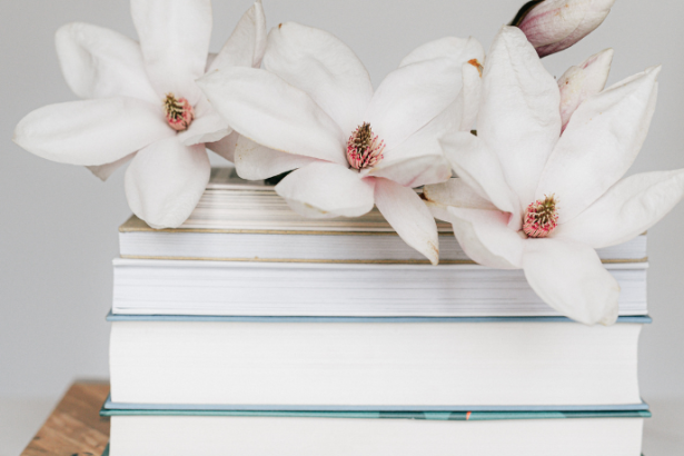 Resumo do livro "São Bernardo" – Graciliano Ramos