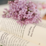 Resumo do livro “A Andorinha e os Pássaros” – Esopo