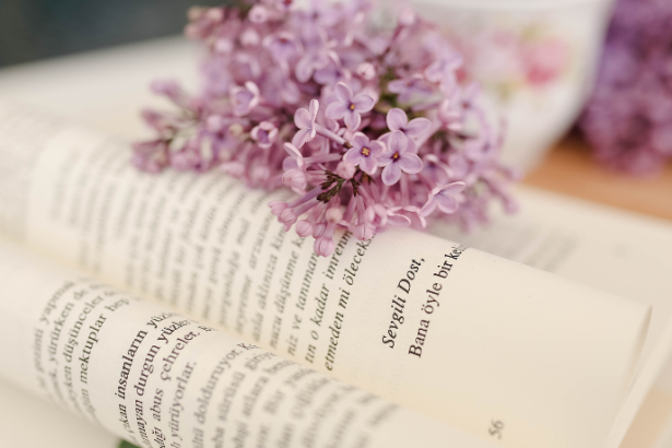 Resumo do livro “A Andorinha e os Pássaros” – Esopo