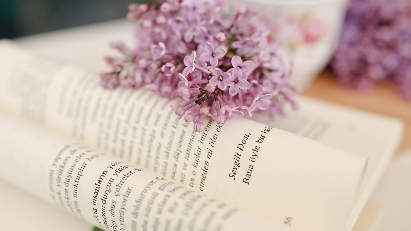 Resumo do livro “A Andorinha e os Pássaros” – Esopo