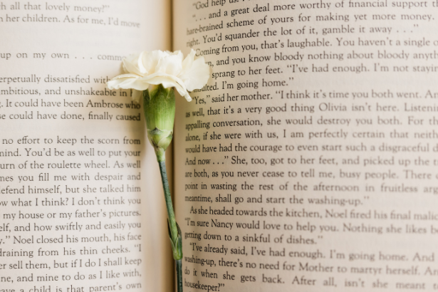 Resumo do livro “A Ilha” – Fernando Morais