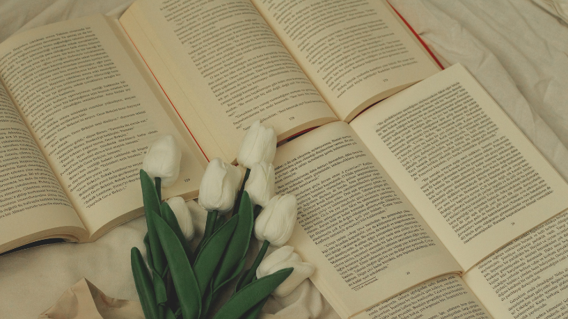 Resumo do livro “A Insustentável Leveza do Ser” – Milan Kundera