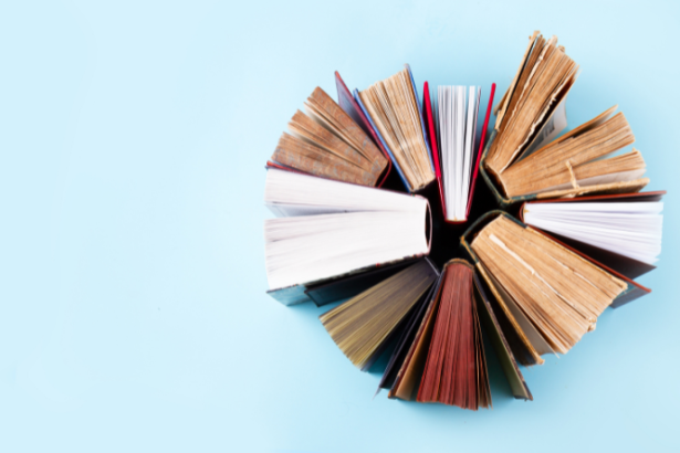 Resumo do livro “A Ladeira da Saudade” – Geni Guimarães